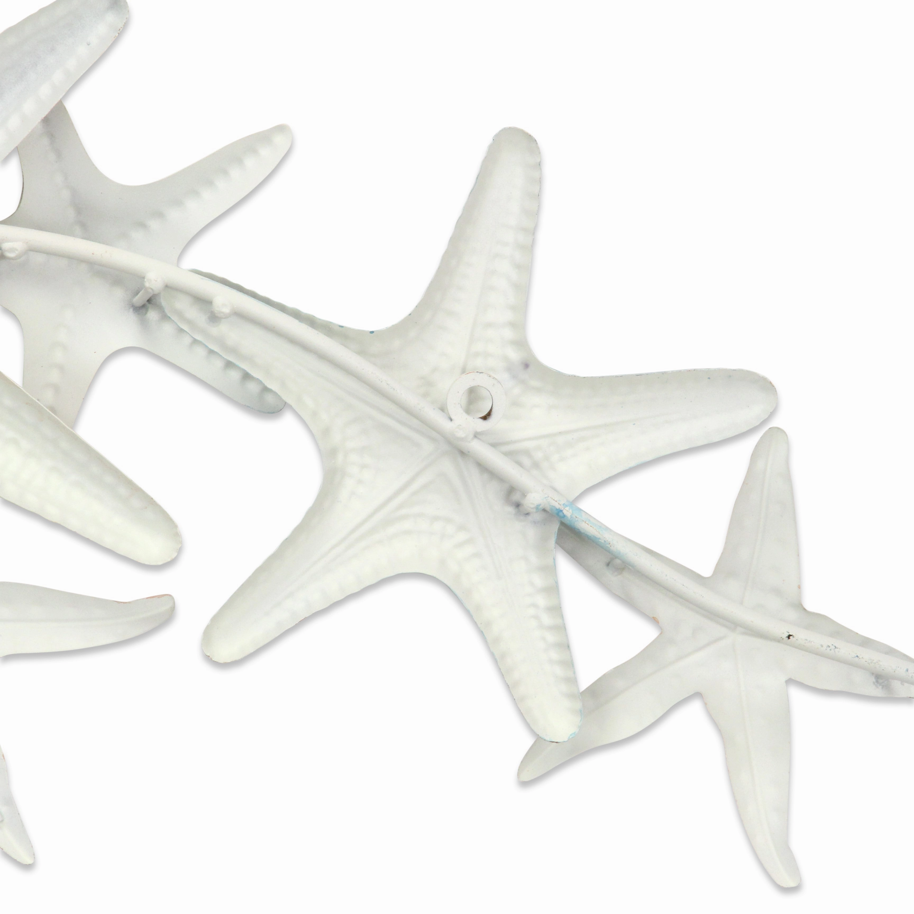5892 - Coralia Wall Star Fish Dcor