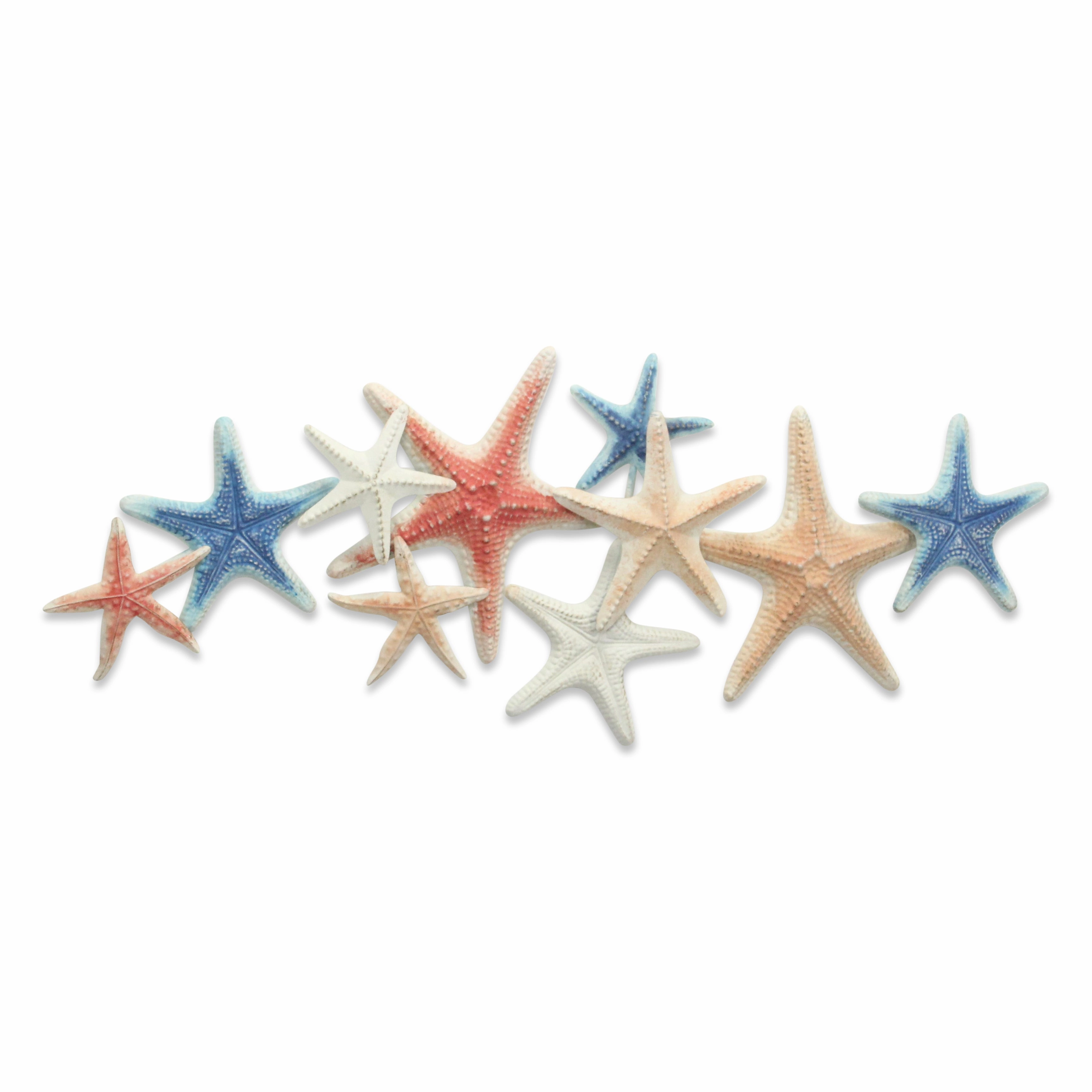 5892 - Coralia Wall Star Fish Dcor