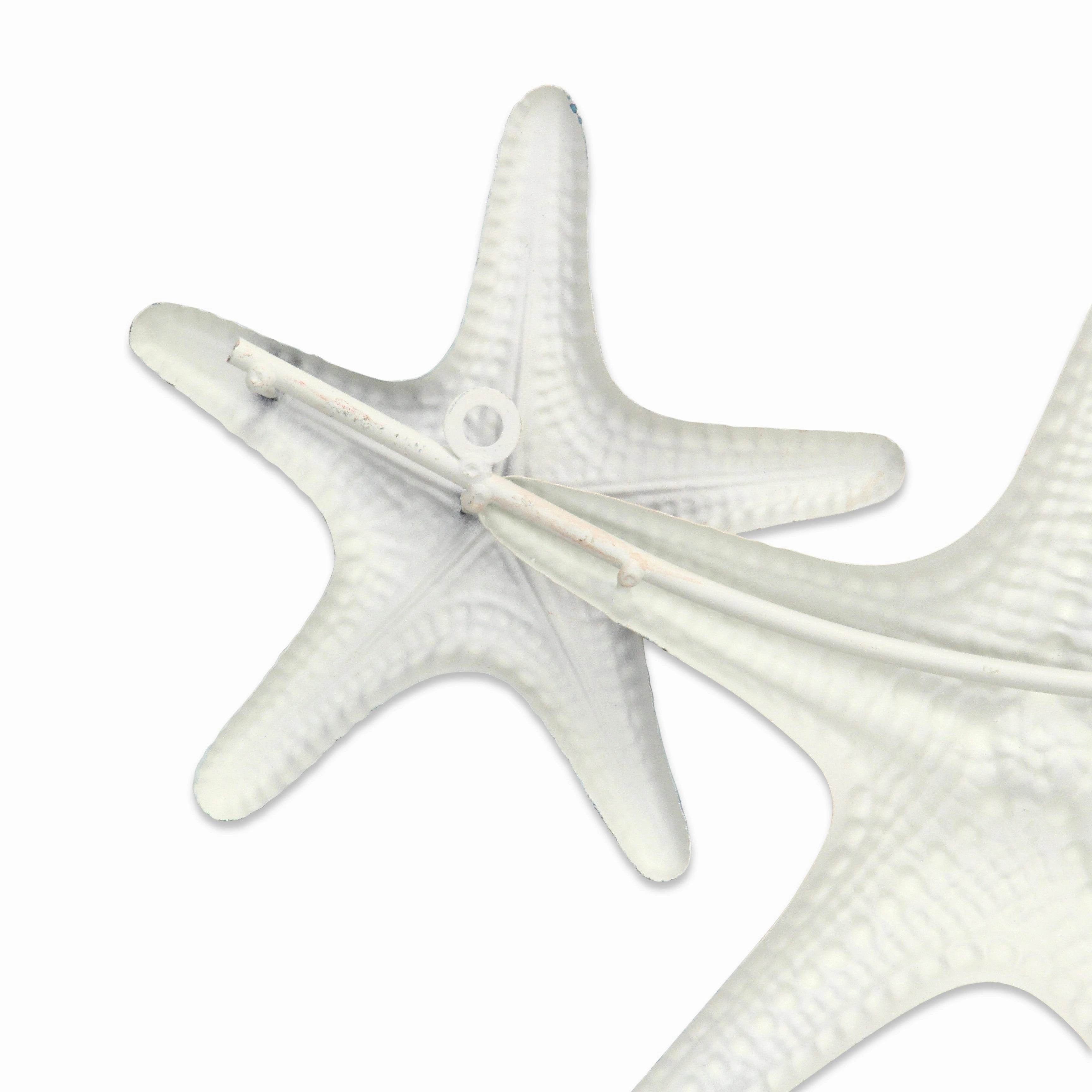5892 - Coralia Wall Star Fish Dcor