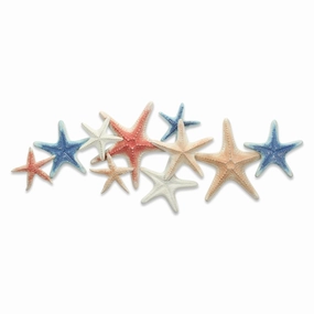 5892 - Coralia Wall Star Fish Dcor 