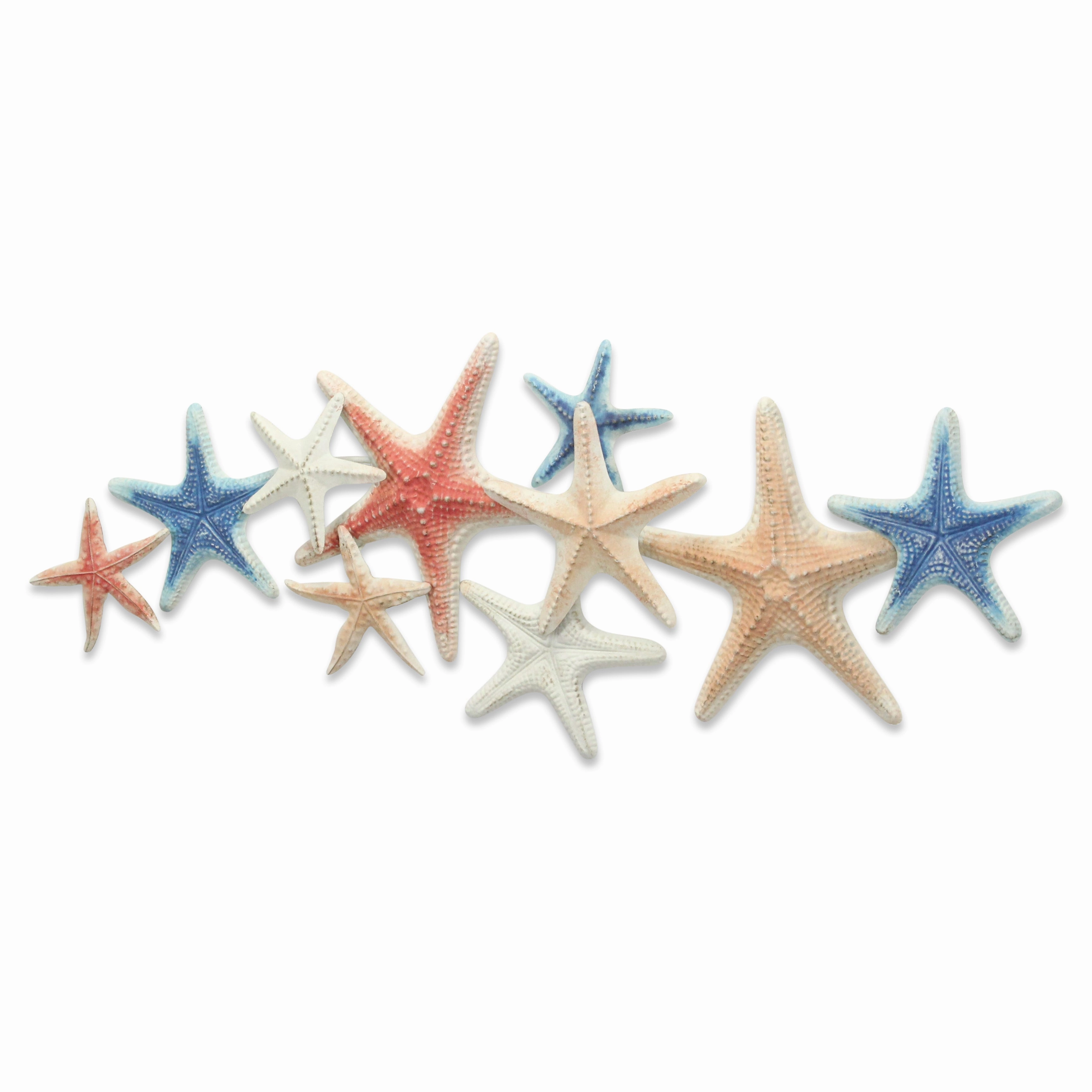 5892 - Coralia Wall Star Fish Dcor