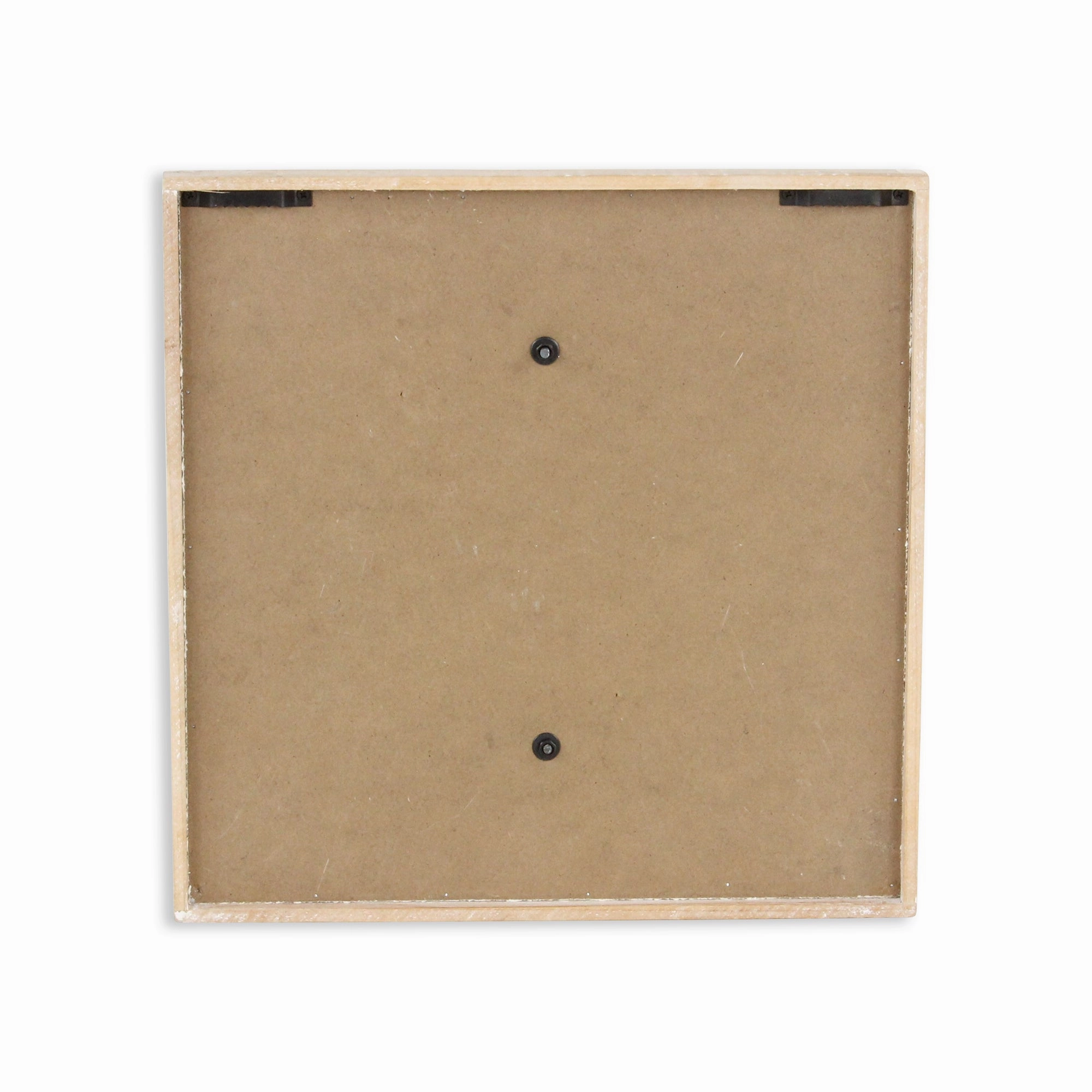 5893SH - Coralia Wall Shell