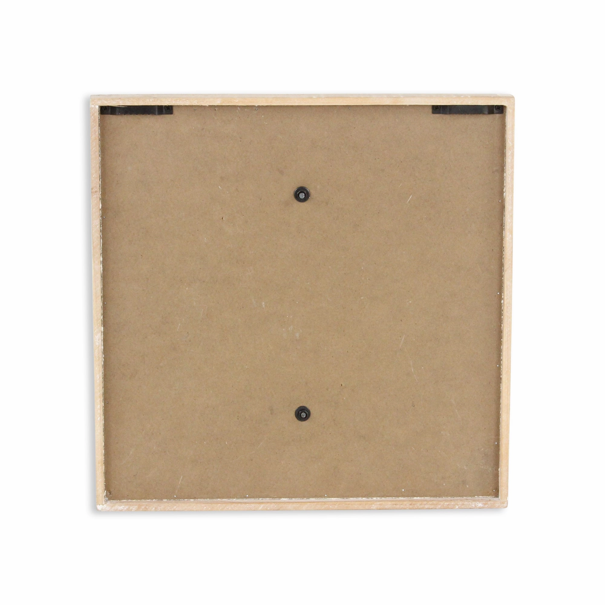 5893SH - Coralia Wall Shell