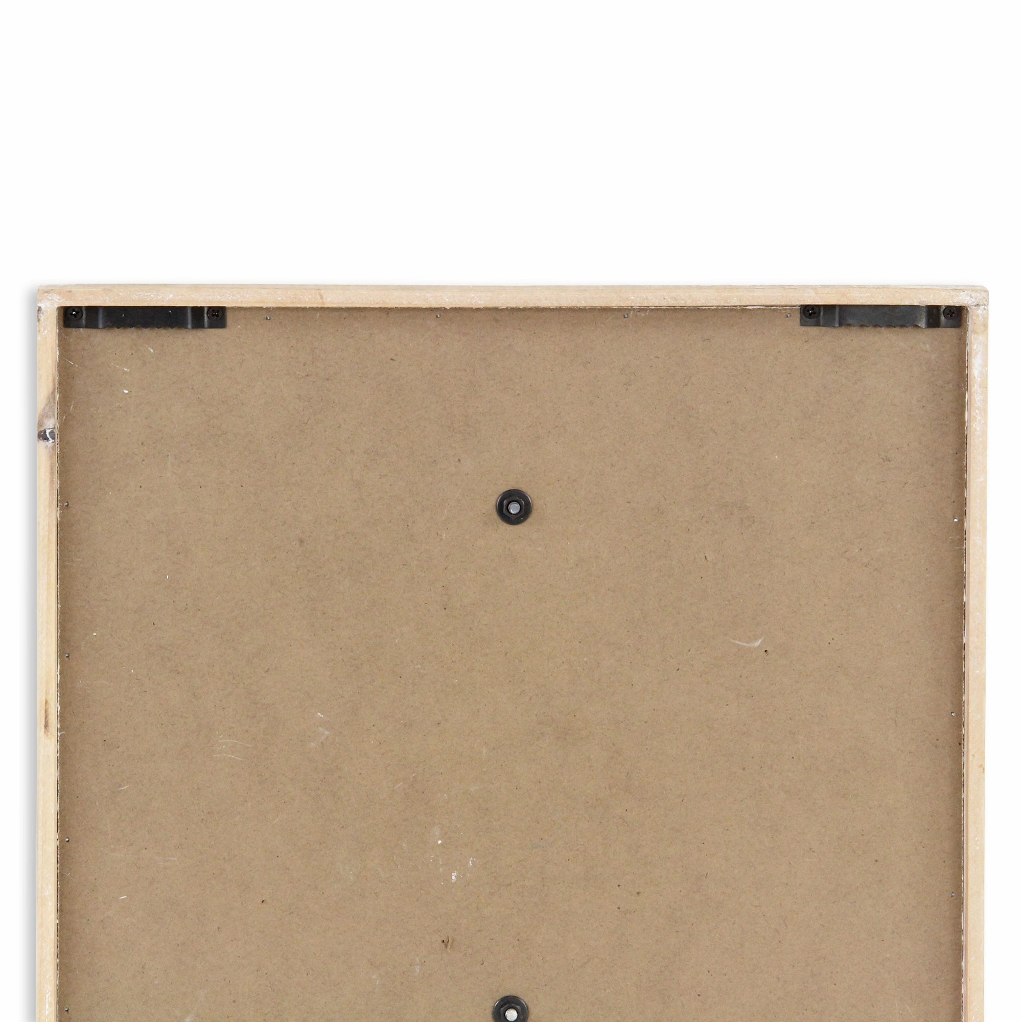5893T - Coralia Wall Turtle