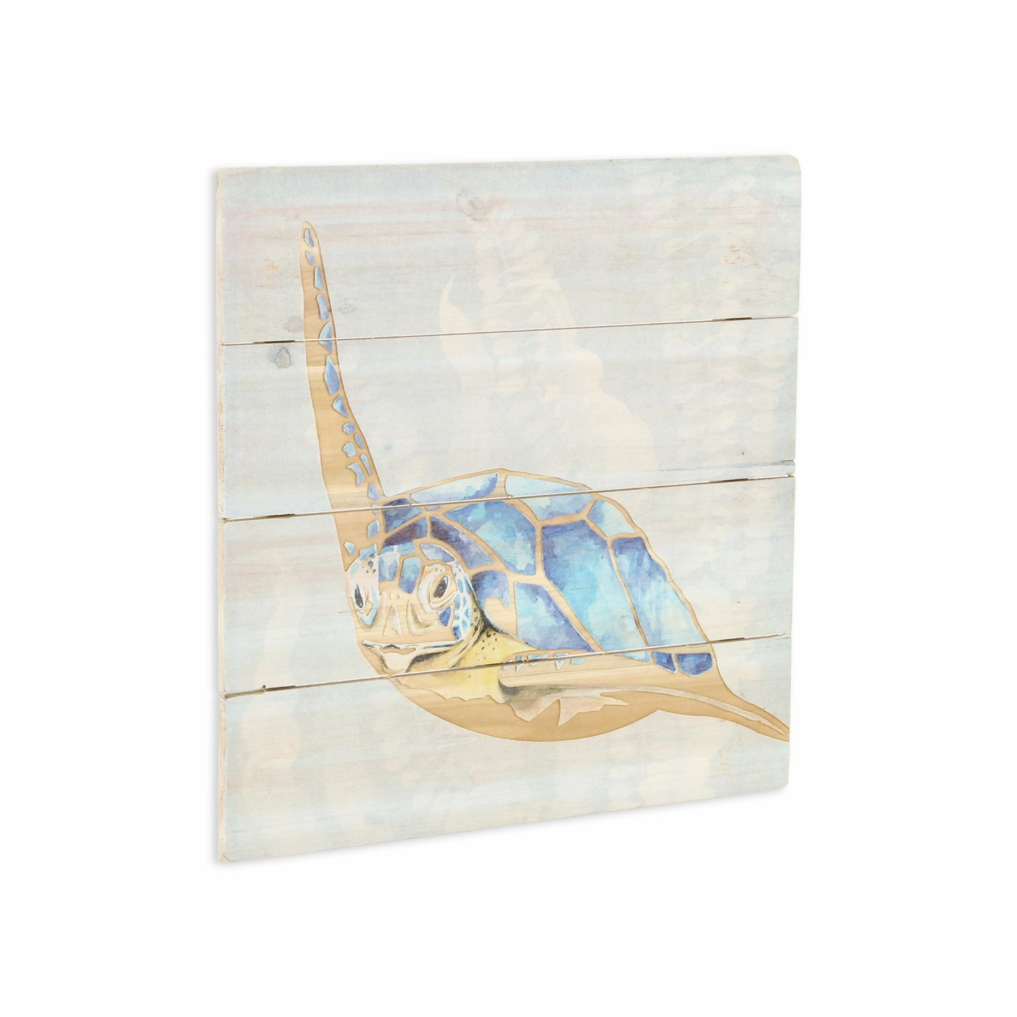 5894B - Coralia Sea Turtle