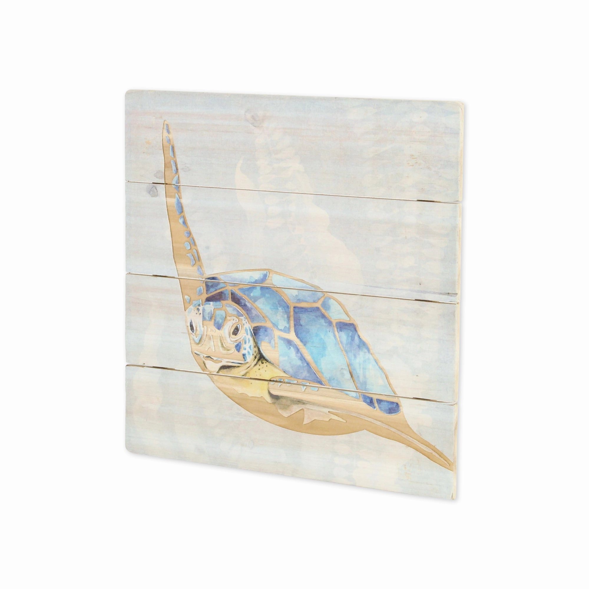5894B - Coralia Sea Turtle