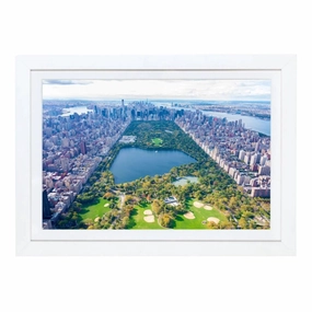 "Central Park" Mini Framed Print by Gray Malin 