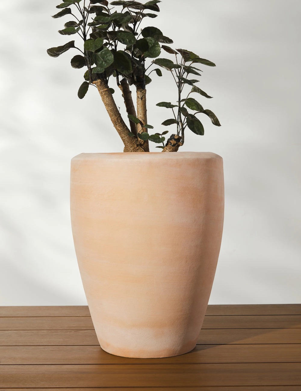 Abrielle Planter (Set of 2) by Campania International -  -