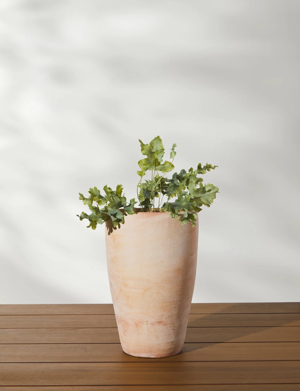 Abrielle Planter (Set of 2) by Campania International -  -