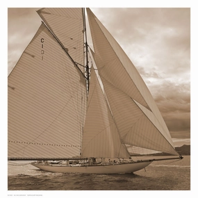 All Sails Unfurled 