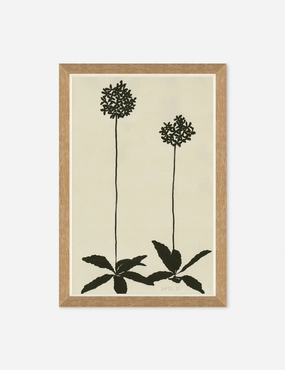Allium Wall Art by Susan Hable 