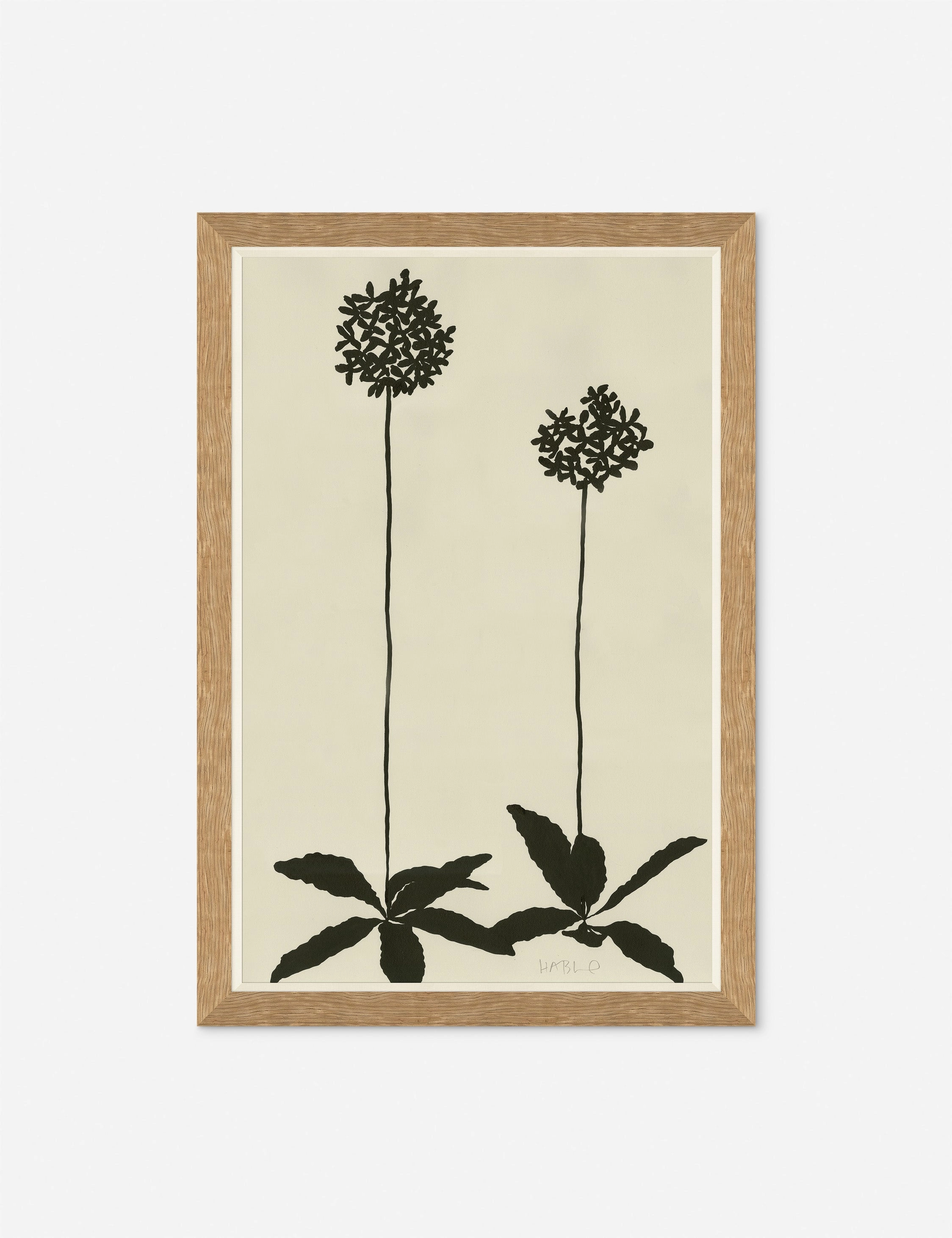 Allium Wall Art by Susan Hable 