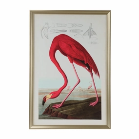 American Flamingo Giclee Print Wall Art 
