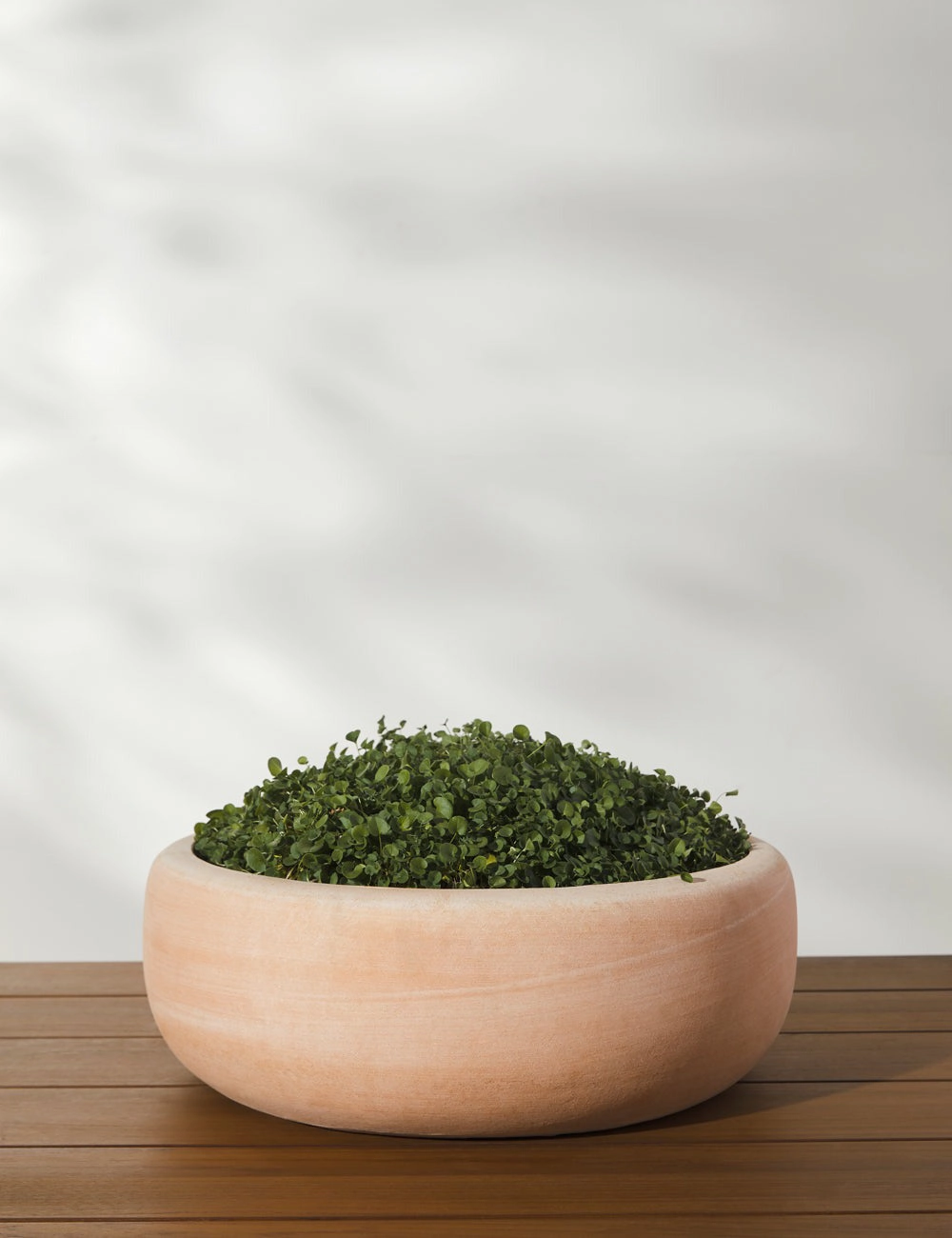 Annalise Planter (Set of 2) by Campania International -  -