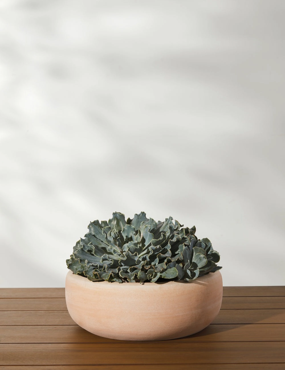 Annalise Planter (Set of 2) by Campania International -  -