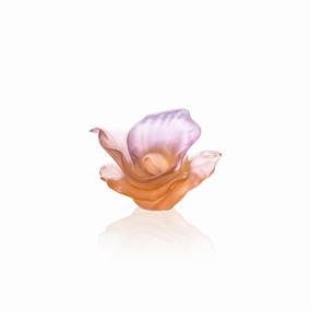 Arum - Pink Decorative Flower 