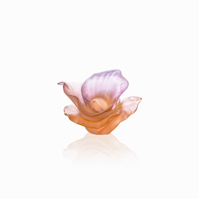 Arum - Pink Decorative Flower 