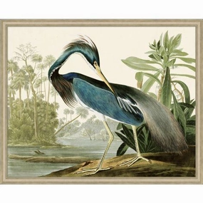Audubons Blue Heron 1 Framed Wall Art 