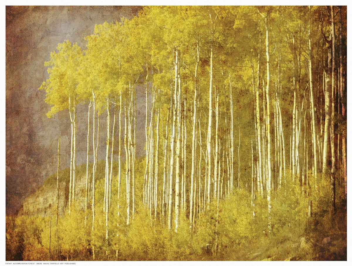 Autumn Aspen Forest 