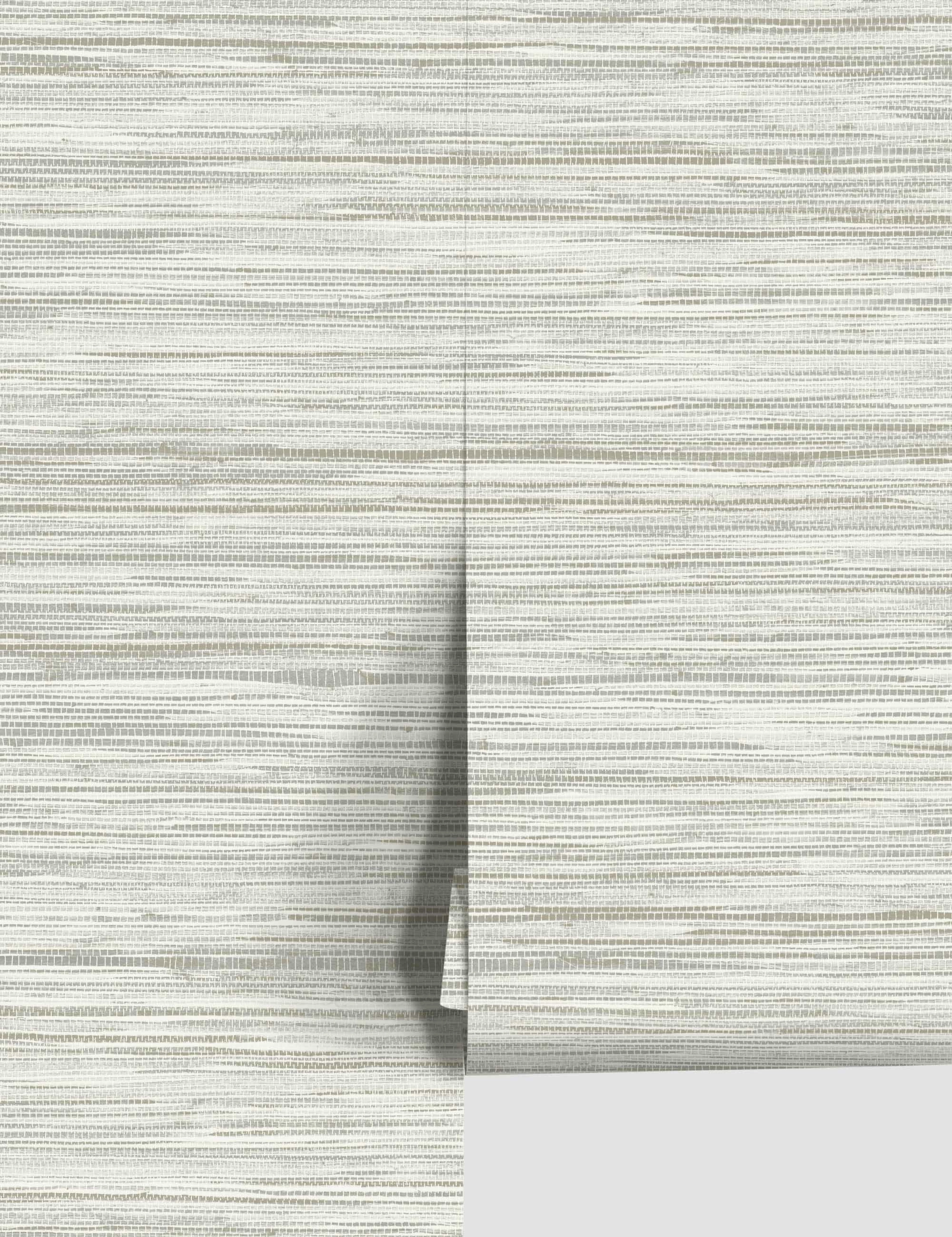Bahiagrass Premium Peel   Stick Wallpaper 