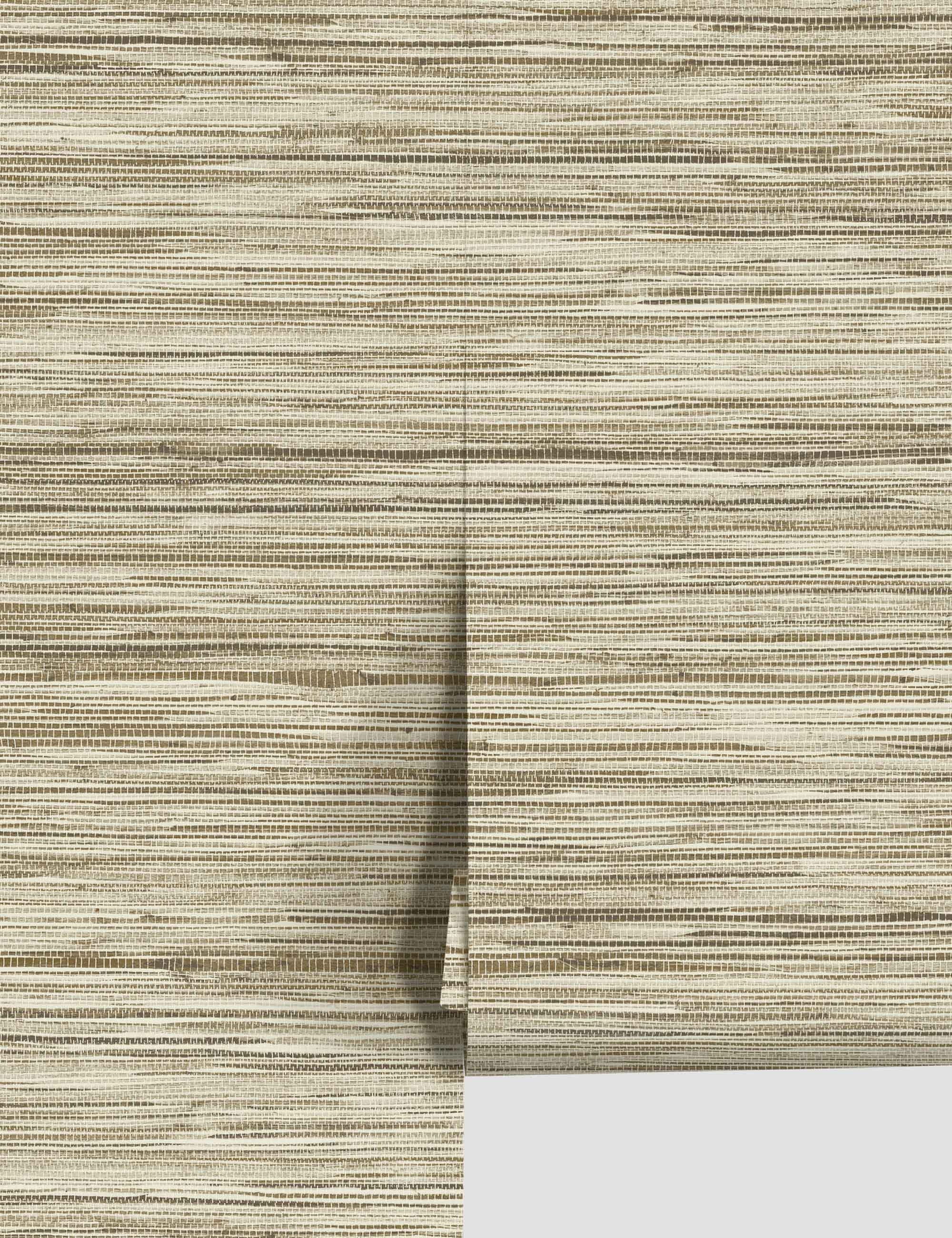 Bahiagrass Premium Peel   Stick Wallpaper