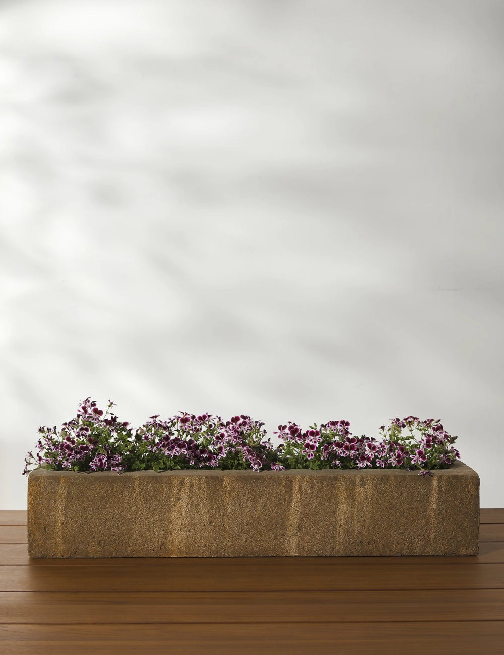 Basic Element Long Planter by Campania International -  - 