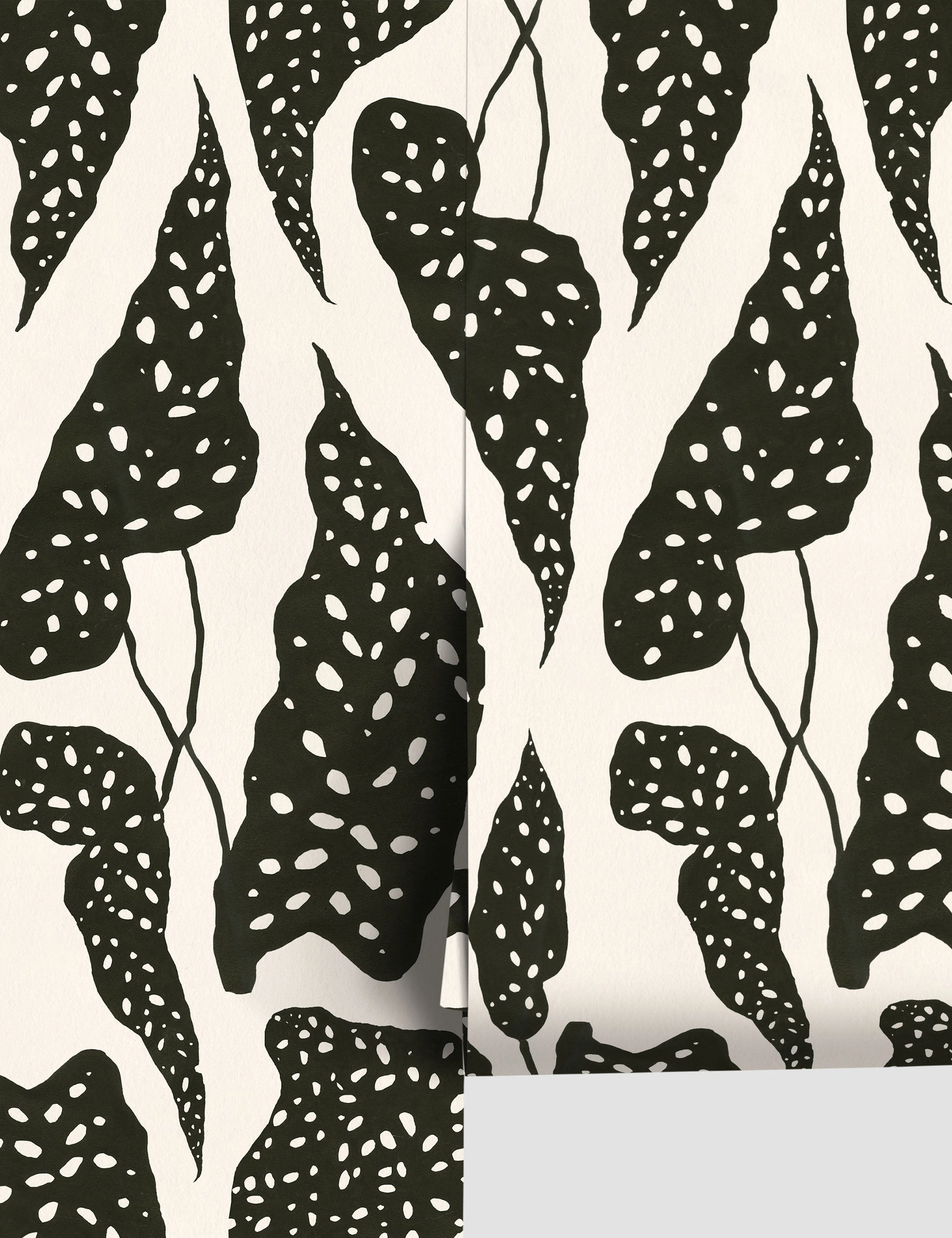 Begonia Wallpaper by Susan Hable 