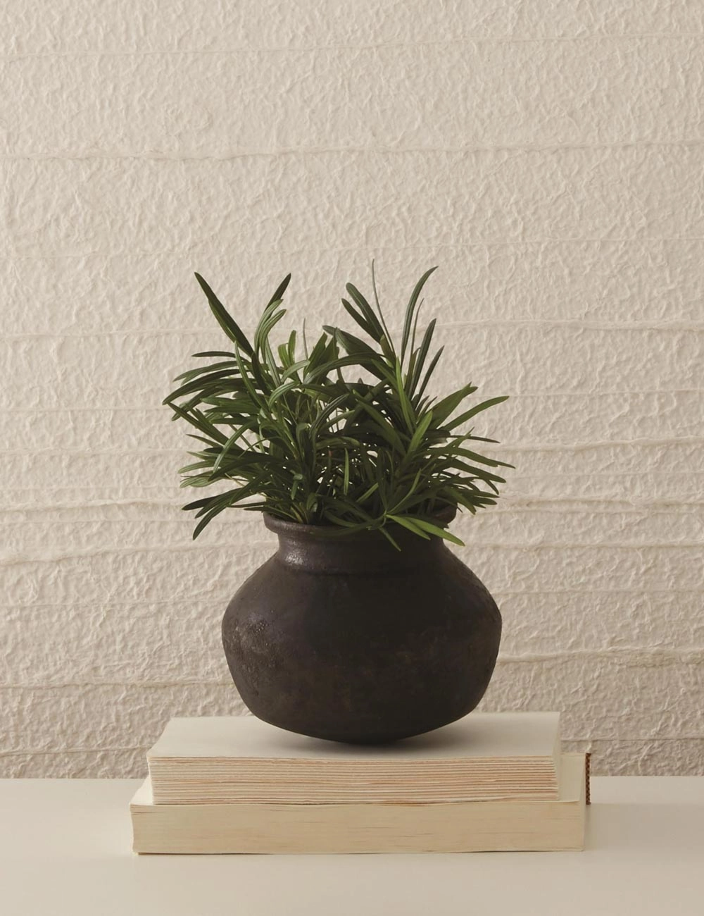 Benji Pot -  - 