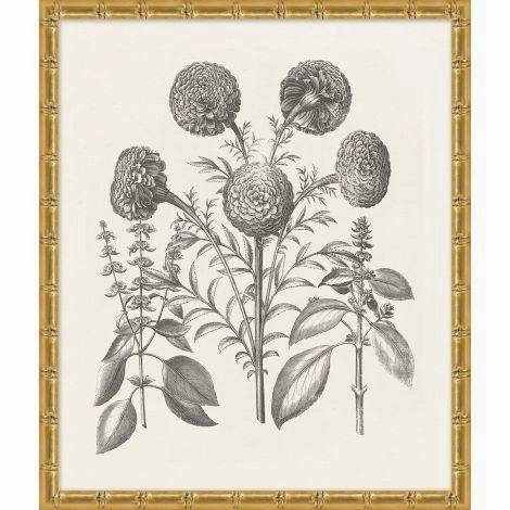 Bessler Black & White Neutral Floral Study 12 Print in Gold Frame 