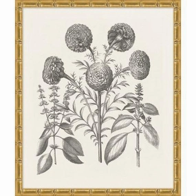 Bessler Black & White Neutral Floral Study 12 Print in Gold Frame 