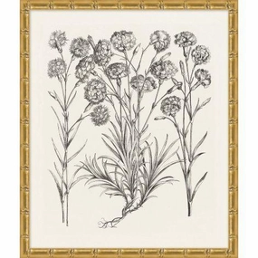 Bessler Black & White Neutral Floral Study 13 Print in Gold Frame 