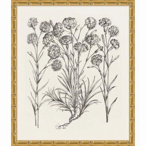 Bessler Black & White Neutral Floral Study 13 Print in Gold Frame 
