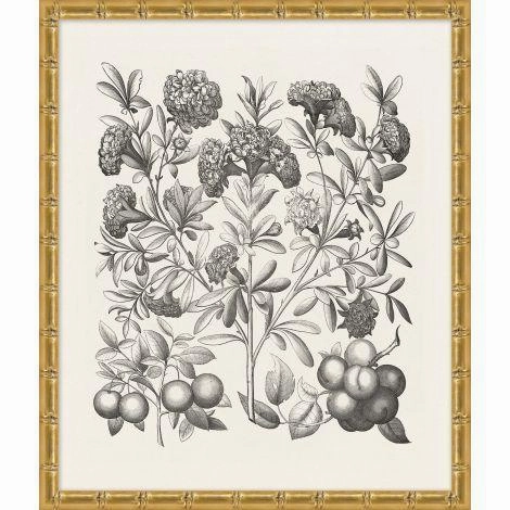 Bessler Black & White Neutral Floral Study 6 Print in Gold Frame 