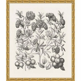 Bessler Black & White Neutral Floral Study 6 Print in Gold Frame 