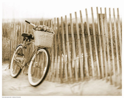 Bike by Beach Fence 