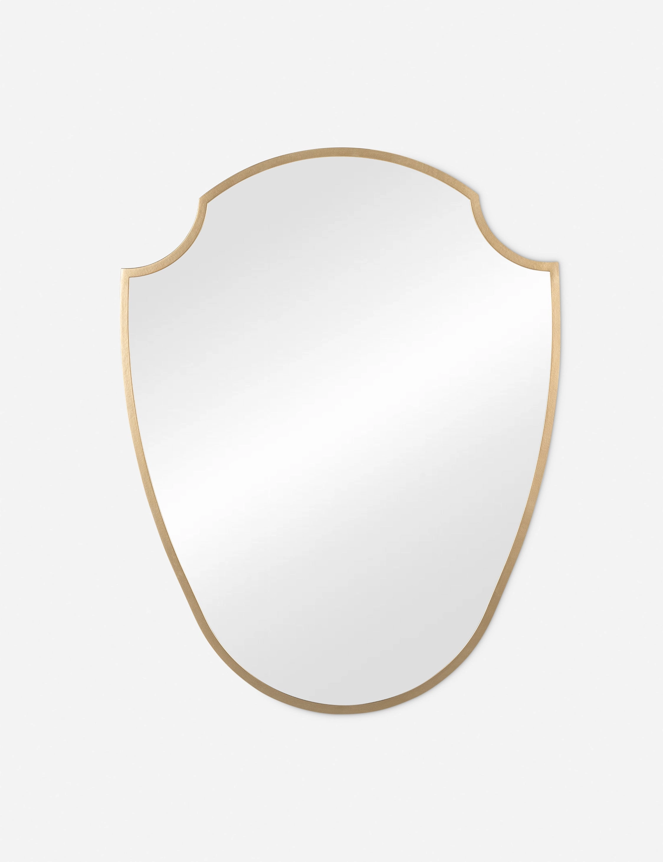 Biltmore Mirror by Bria Hammel 