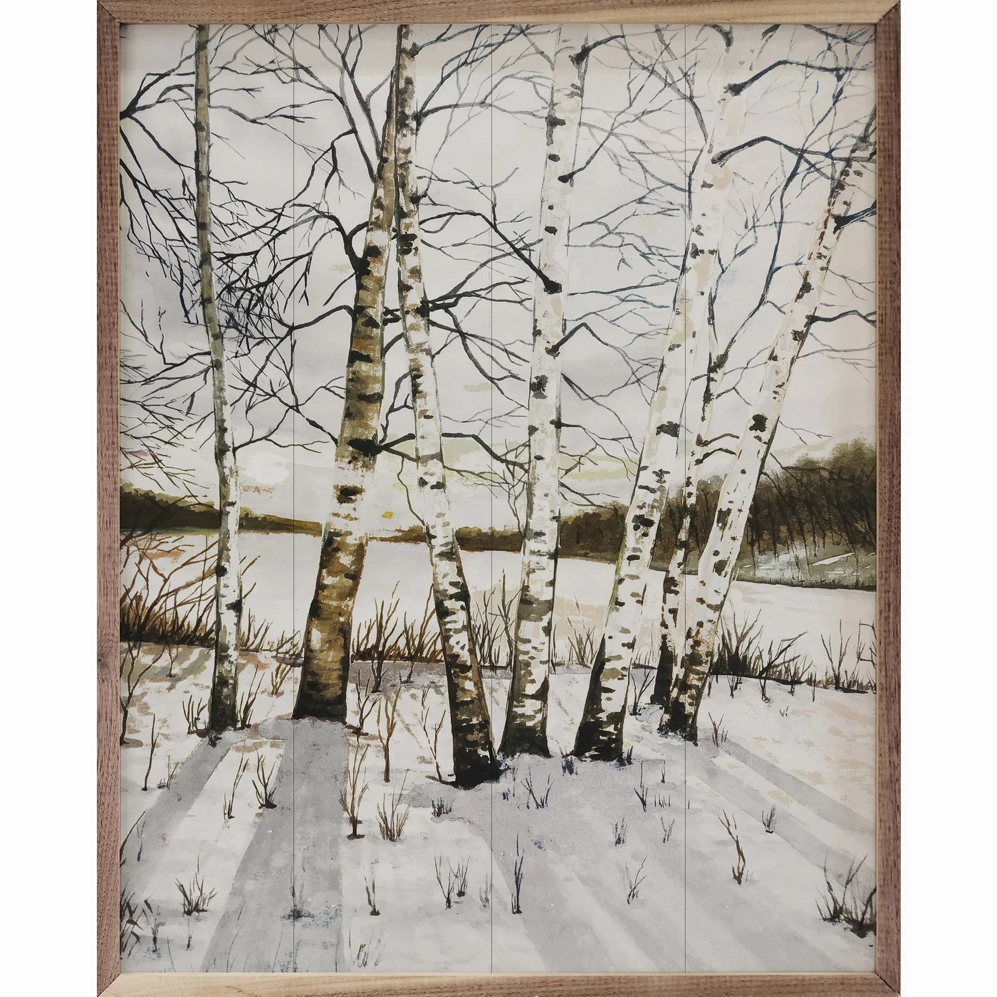 Birch Trees In Winter Wood Framed Print 
