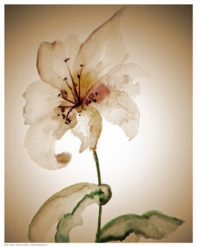 Blossom in Sienna II 