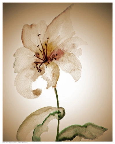 Blossom in Sienna II 