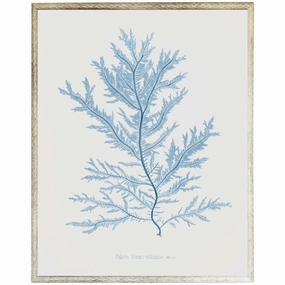 Blue Coral Framed Wall Art 2 