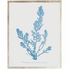 Blue Coral Framed Wall Art 3 