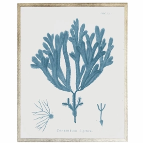 Blue Coral Framed Wall Art 4 