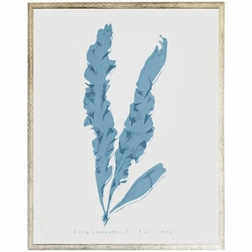 Blue Coral Framed Wall Art 5 