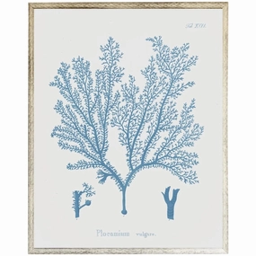 Blue Coral Framed Wall Art I 