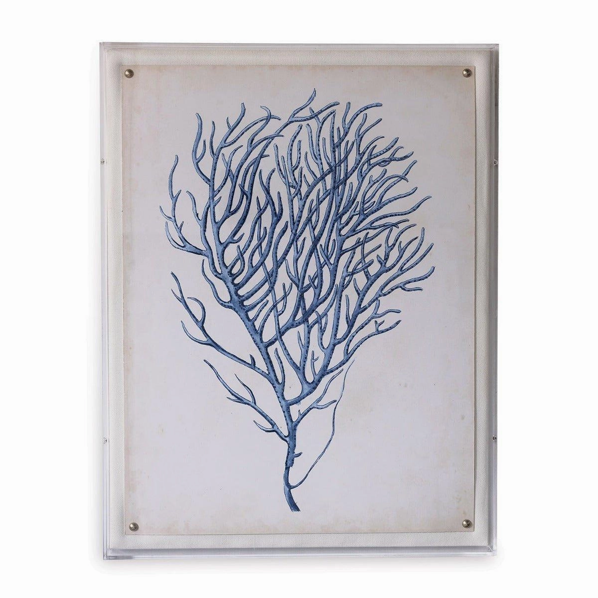 Blue Coral I Giclee Print in Lucite Shadow Box 