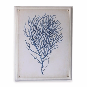 Blue Coral I Giclee Print in Lucite Shadow Box 