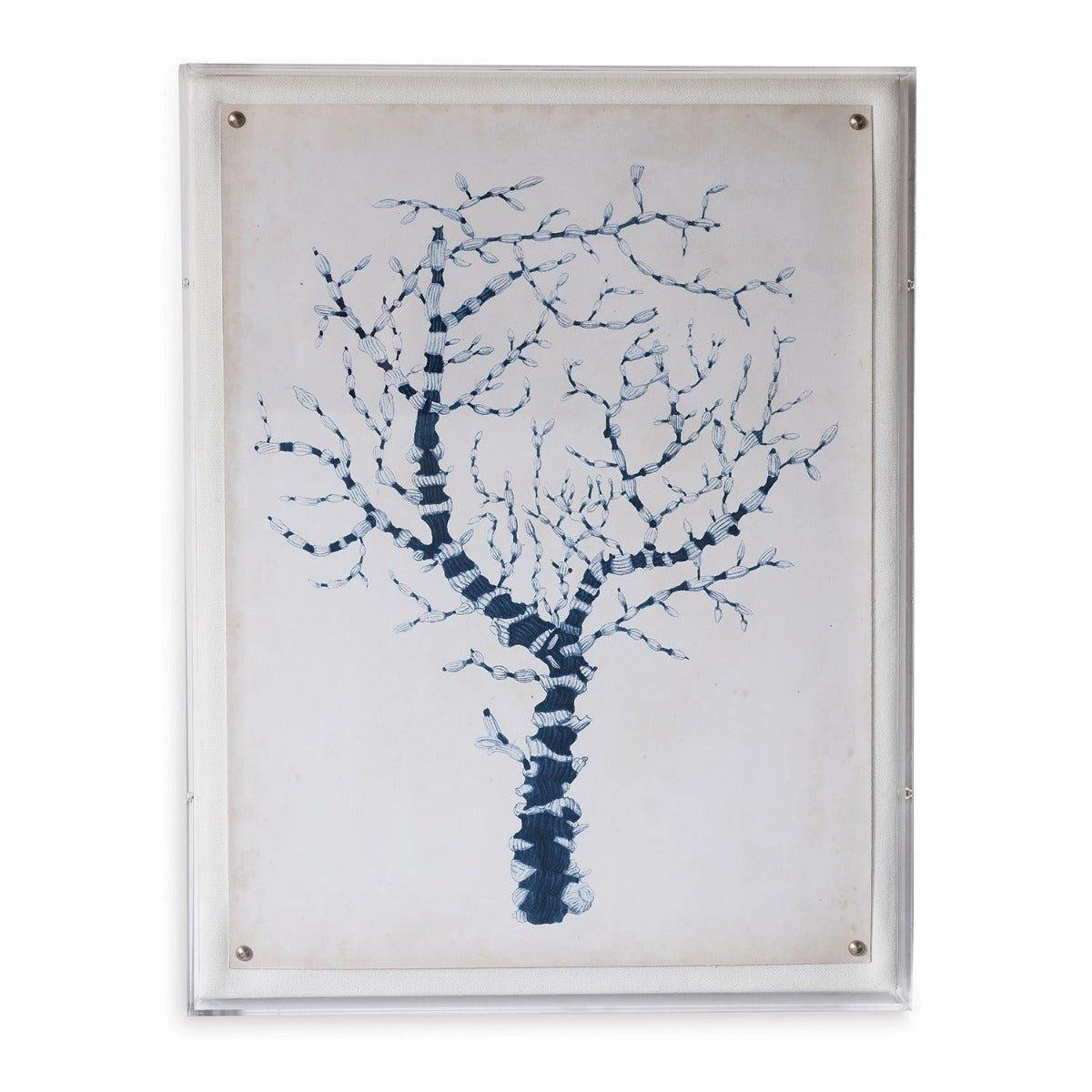 Blue Coral II Giclee Print in Lucite Shadow Box 