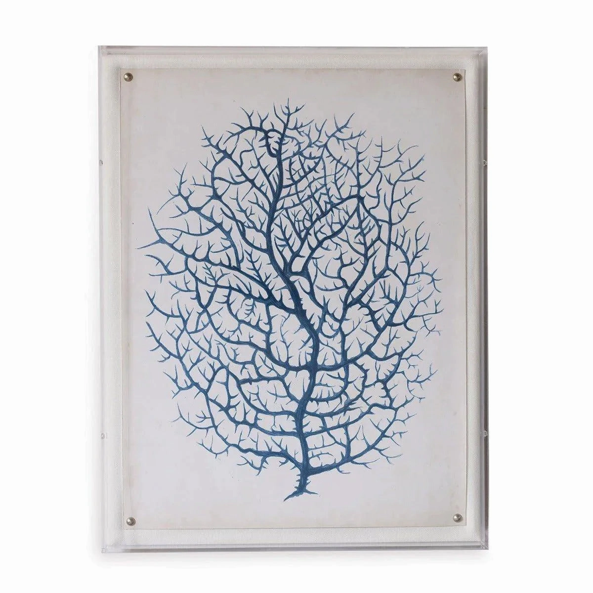 Blue Coral III Giclee Print in Lucite Shadow Box 