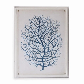 Blue Coral III Giclee Print in Lucite Shadow Box 