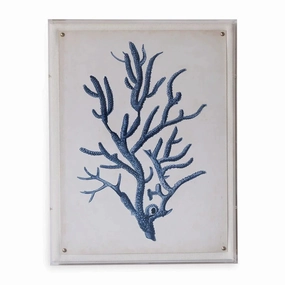 Blue Coral IV Giclee Print in Lucite Shadow Box 